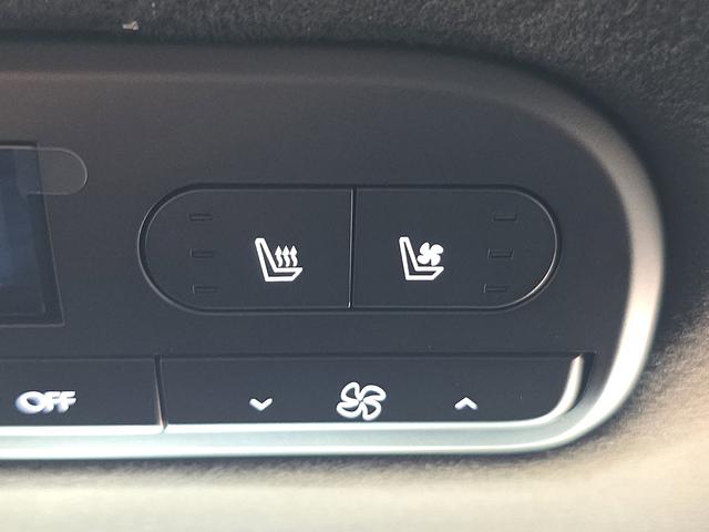2026 Hyundai Palisade Calligraphy - Photo 39