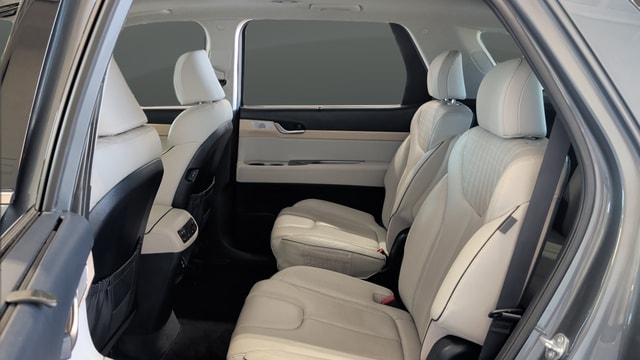 2023 Hyundai Palisade Limited - Photo 24
