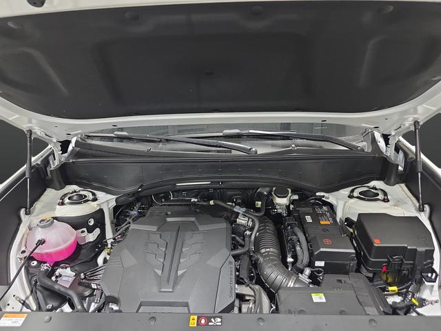 2026 Hyundai Palisade Calligraphy - Photo 46