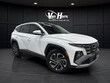  Hyundai Tucson Hybrid