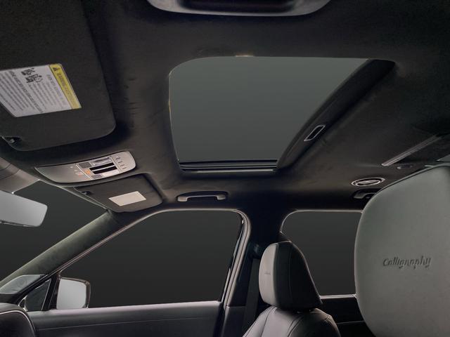 2026 Hyundai Palisade Calligraphy - Photo 7