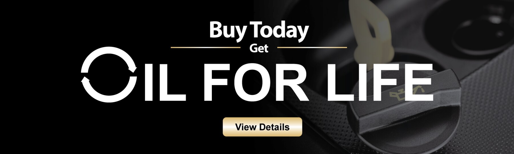 Van Horn Ford of Newhall Ford Dealership in Newhall IA