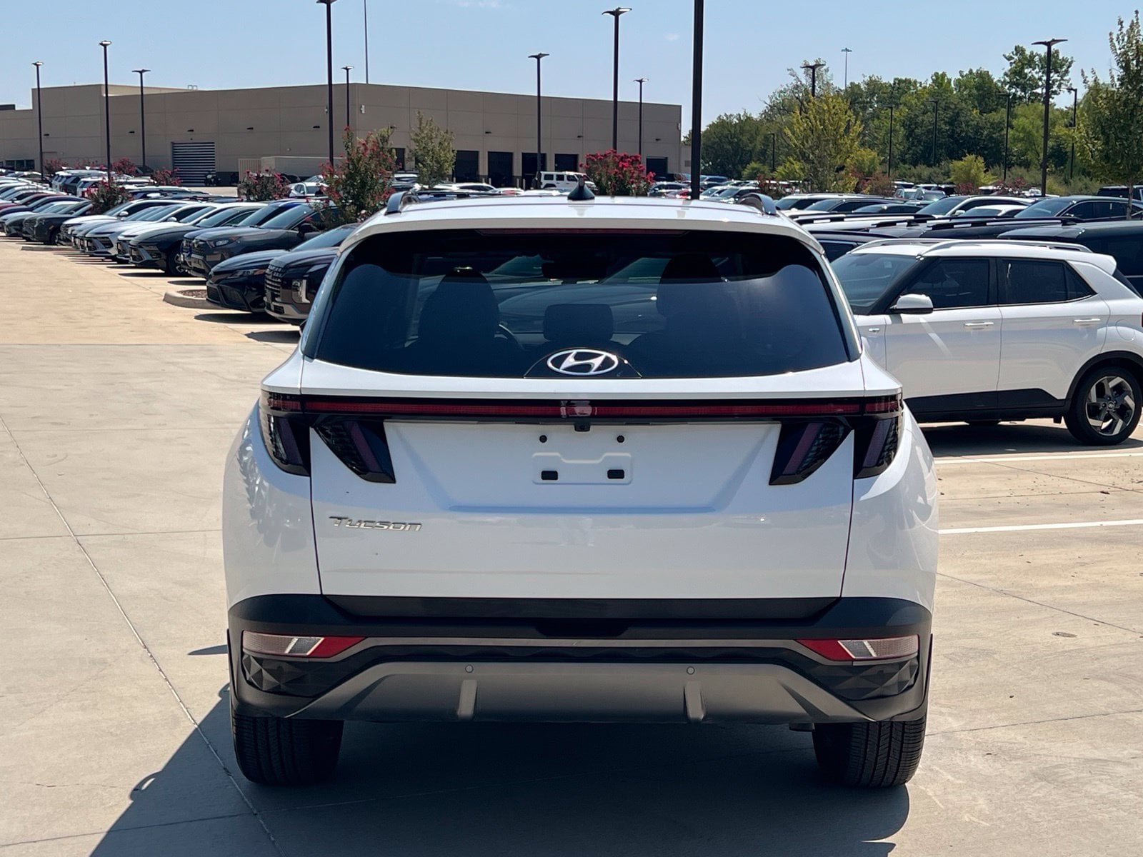 2024 Hyundai Tucson Limited - Photo 10