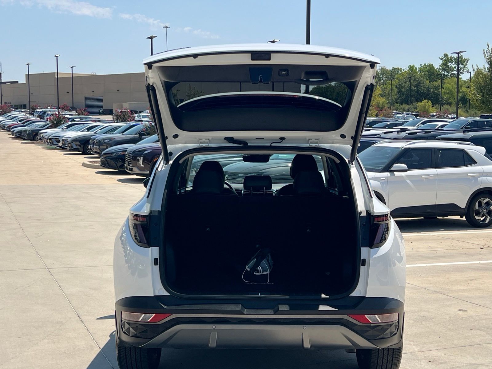 2024 Hyundai Tucson Limited - Photo 14
