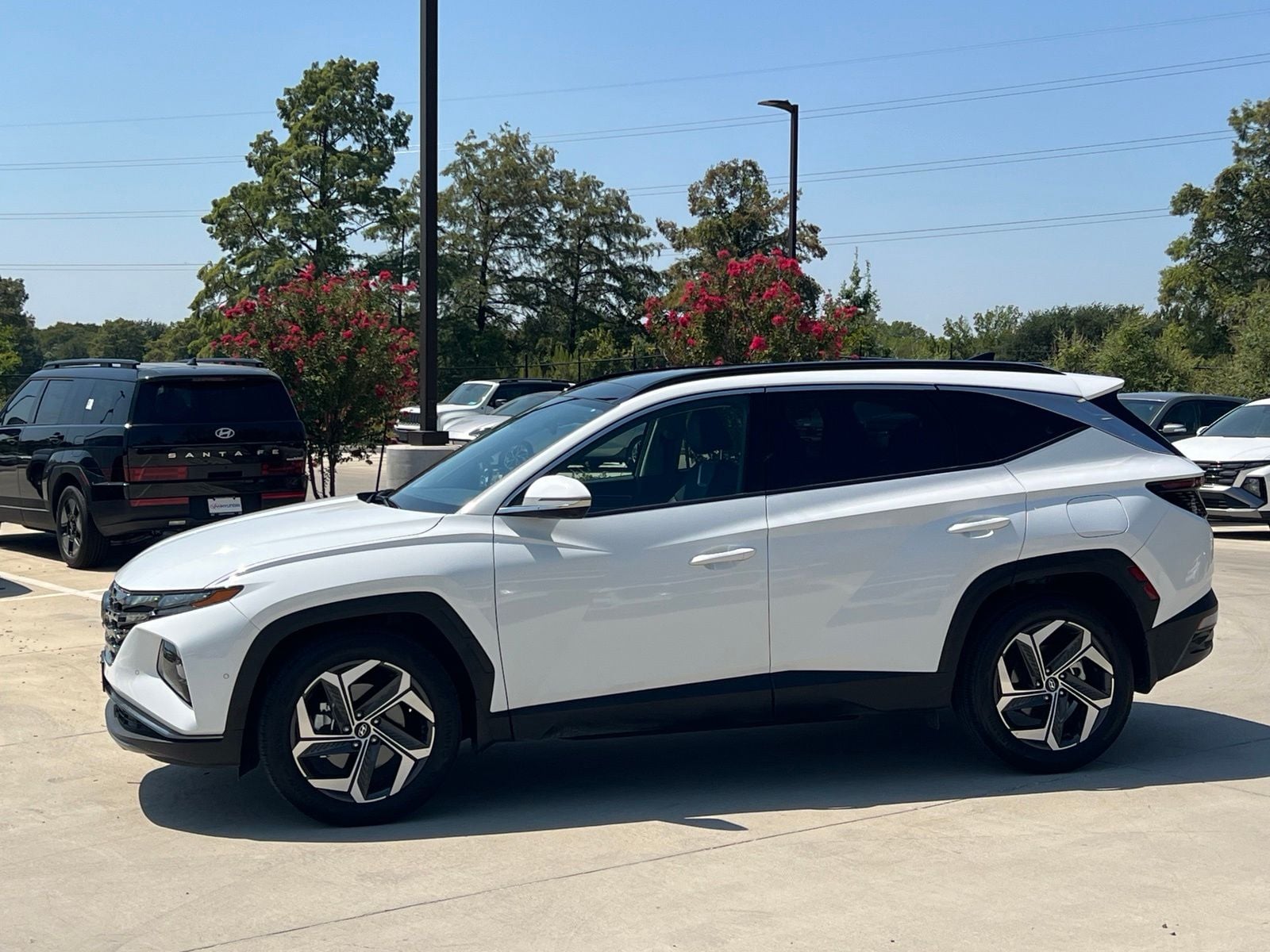 2024 Hyundai Tucson Limited - Photo 6