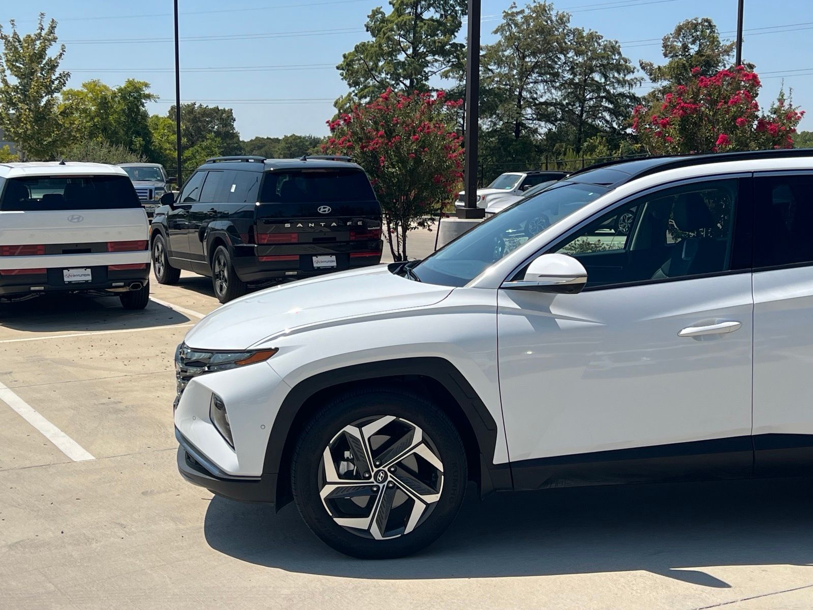 2024 Hyundai Tucson Limited - Photo 7
