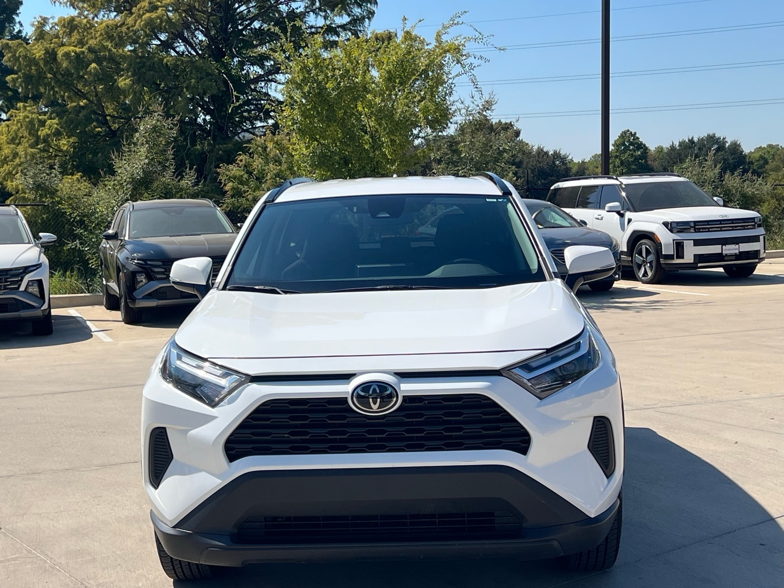 Used 2023 Toyota RAV4 XLE with VIN 2T3W1RFV7PW264479 for sale in Northfield, Minnesota