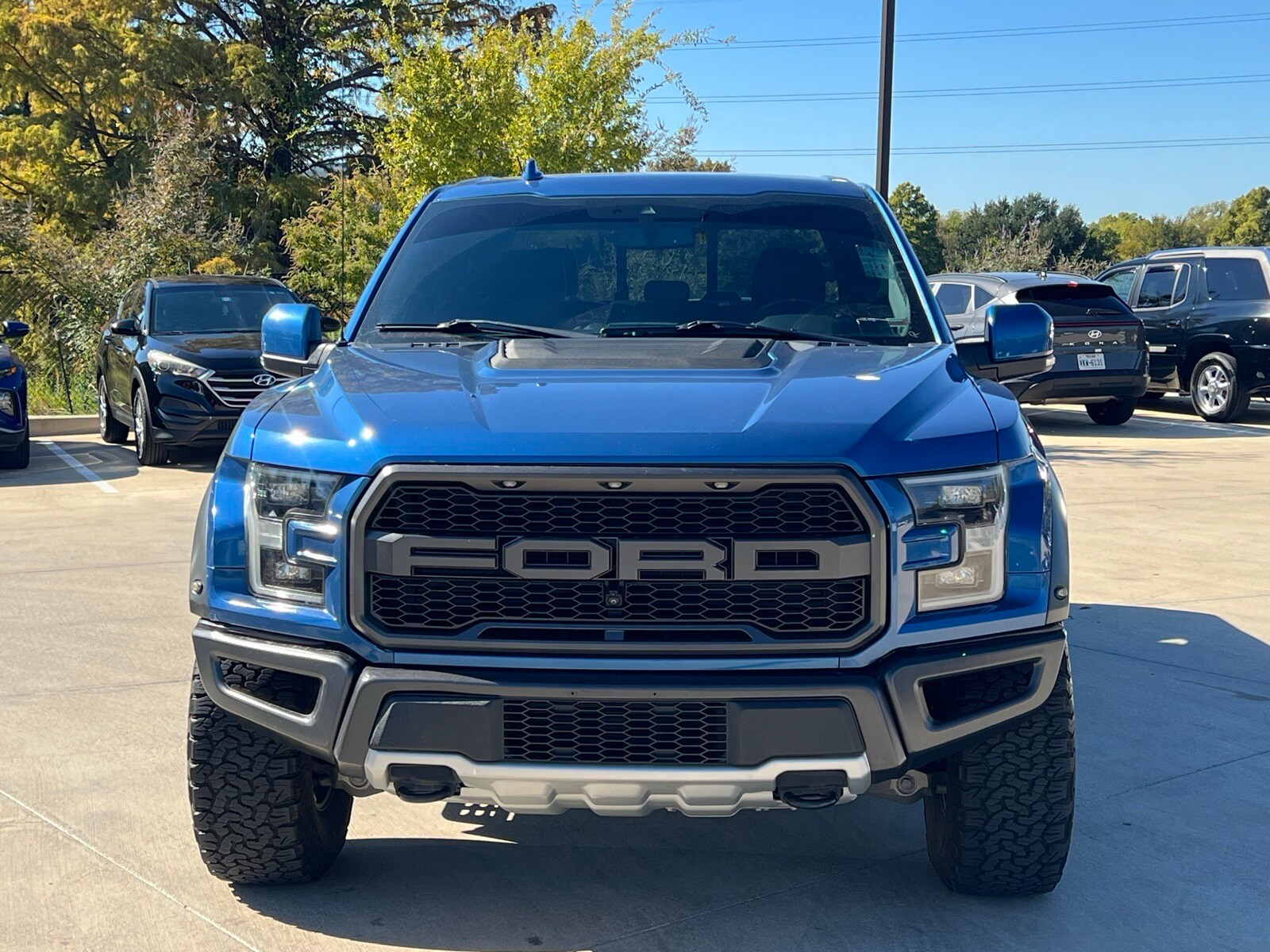 2019 Ford F-150 Raptor photo 2