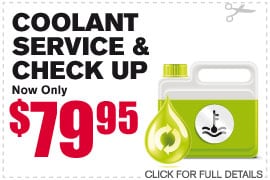 Coolant Flush & Check Up