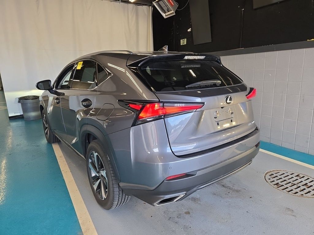2019 Lexus NX 300 Luxury photo 2