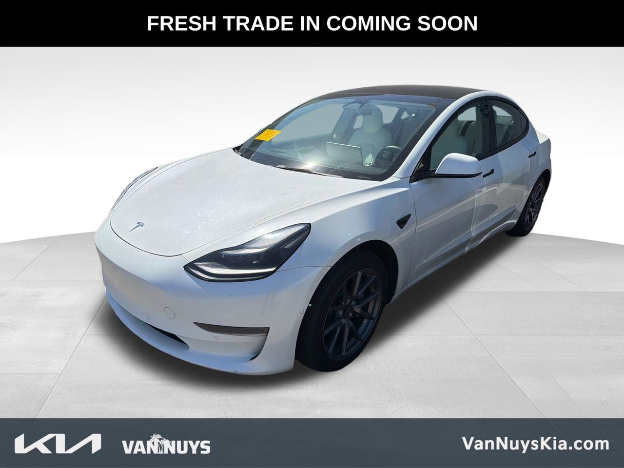 2022 Tesla Model 3 Standard Range Plus's photo