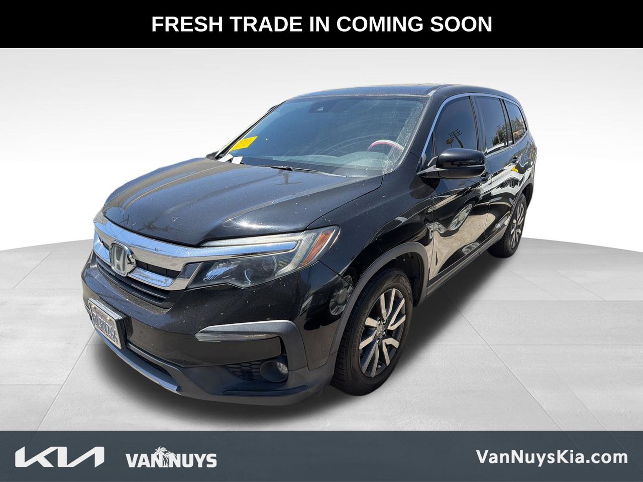 2019 Honda Pilot 2WD EX-L's photo
