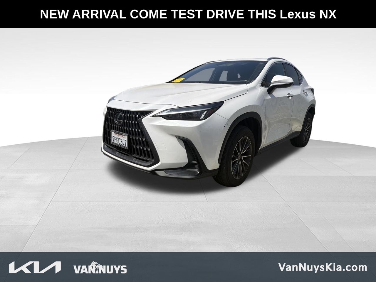 2023 Lexus NX 350 350 AWD's photo