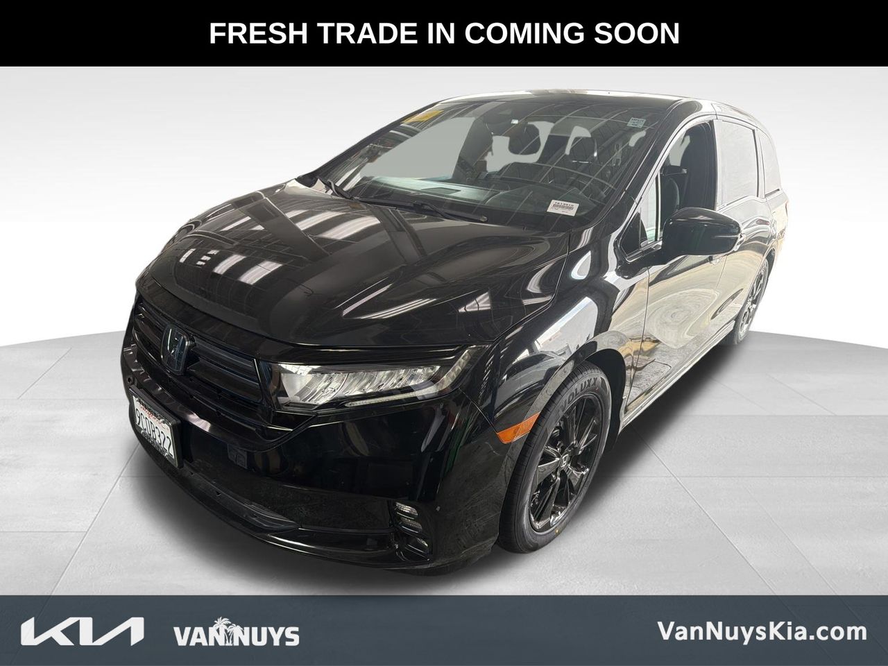2023 Honda Odyssey SPORT's photo