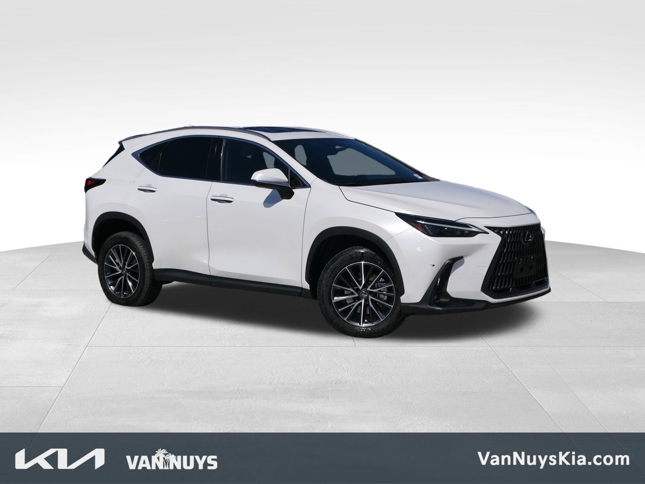 2023 Lexus NX 350 350 AWD's photo