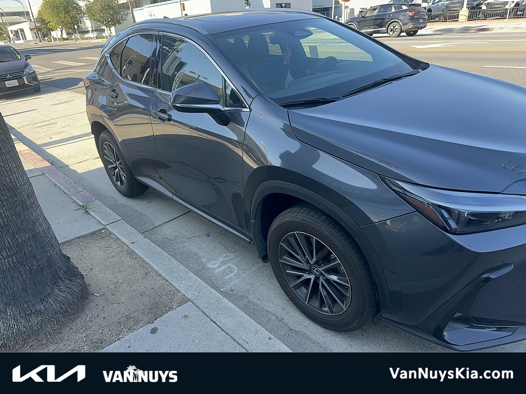 2024 LEXUS NX 250