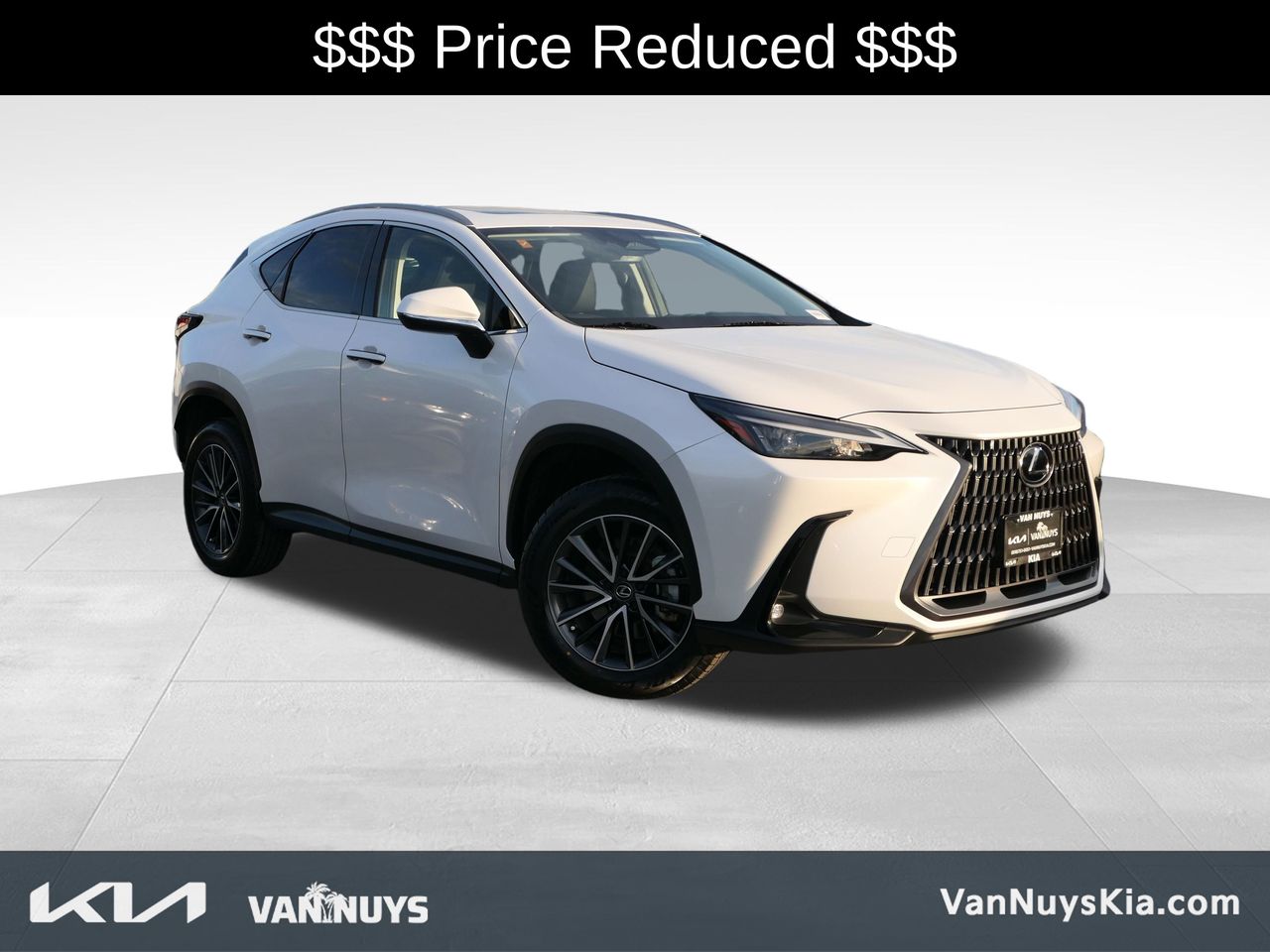 2024 Lexus NX Hybrid 350h's photo