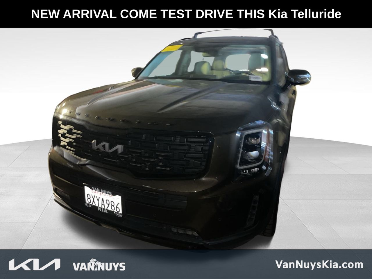 2022 Kia Telluride SX photo 2