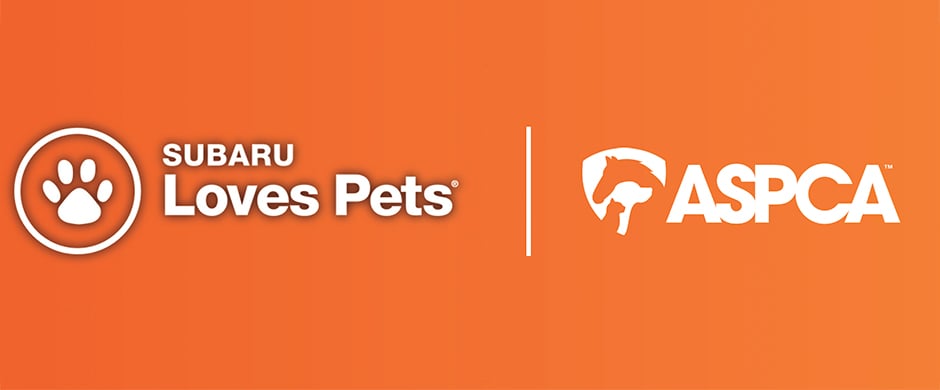 Image: Subaru and Operation Warm Step Up Support for Vulnerable Children