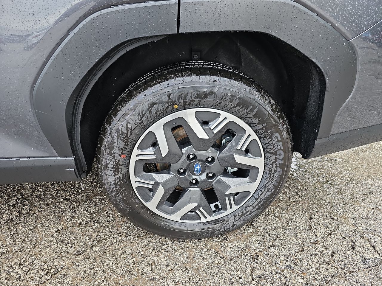 New 2026 Magnetite Gray Subaru Standard Model image 32
