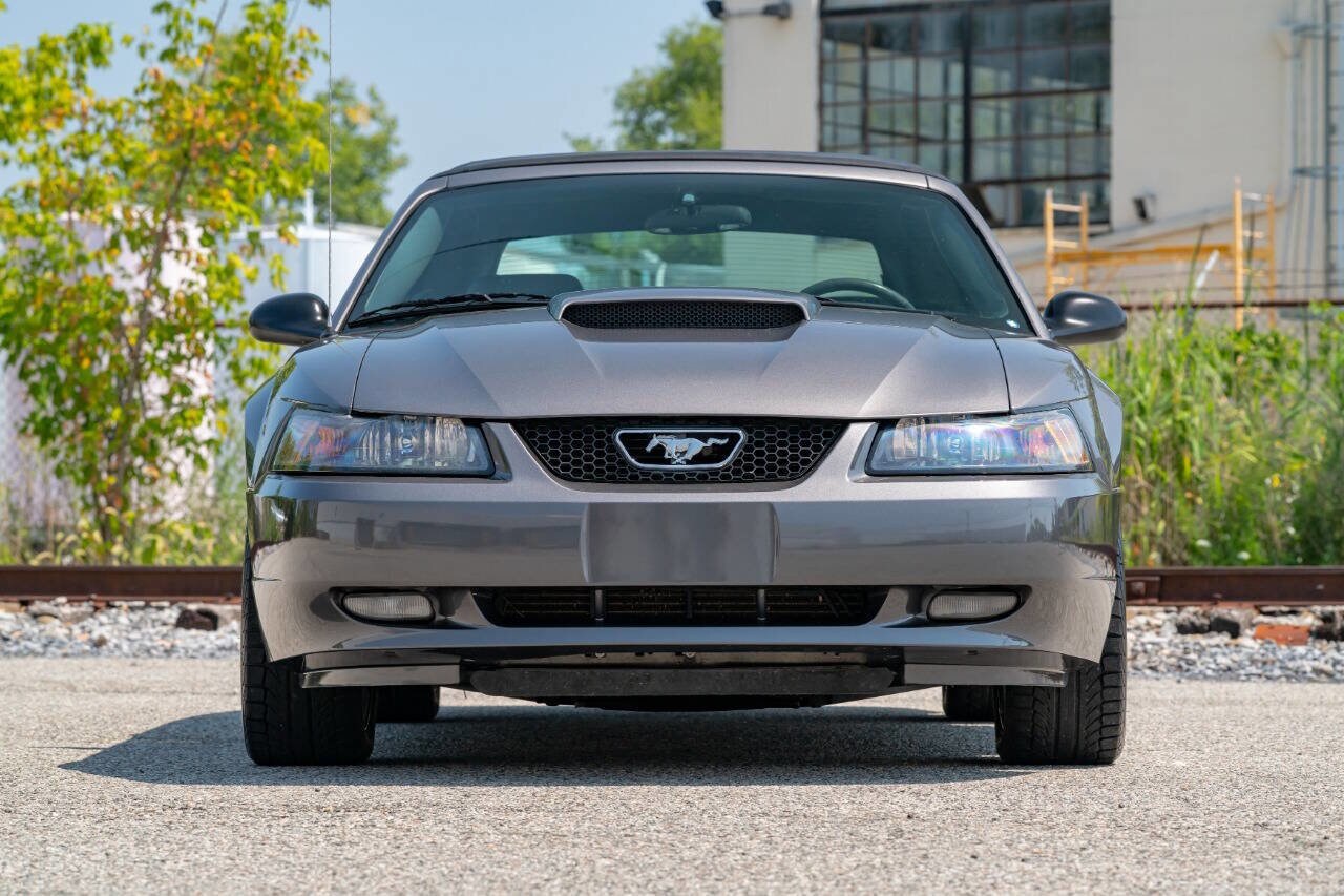 2004 Ford Mustang GT Convertible photo 3