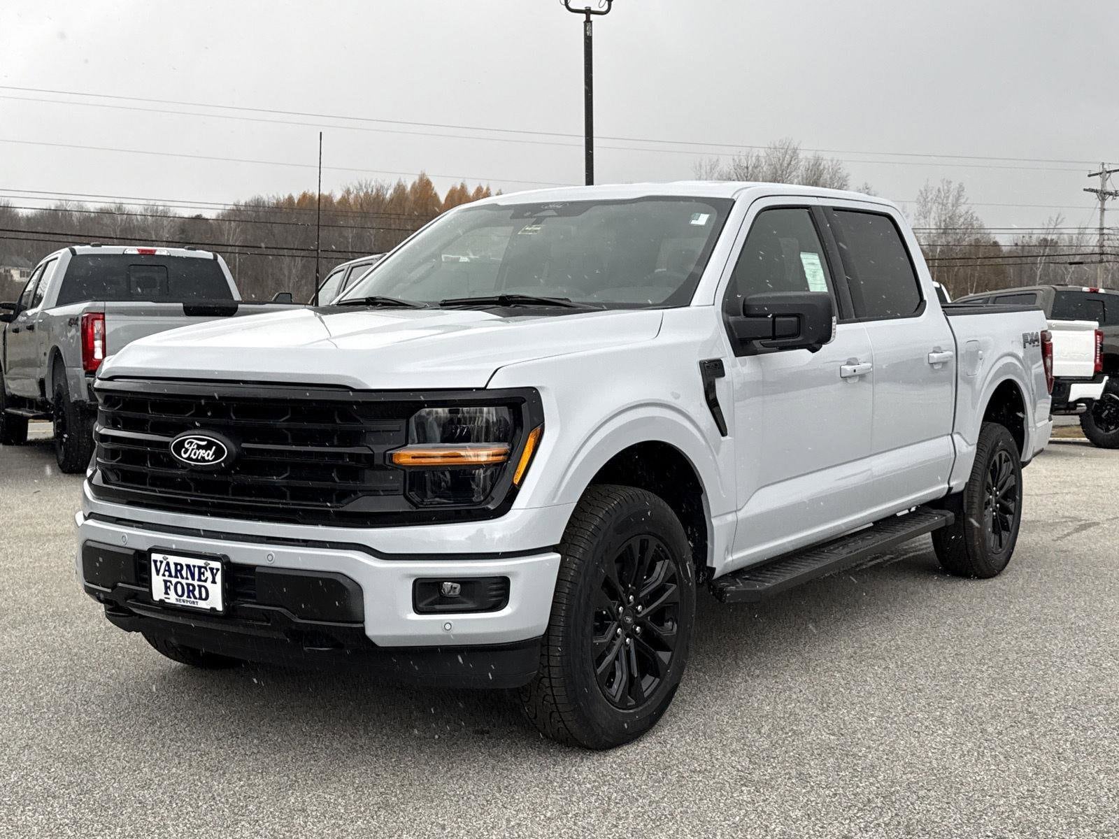 2025 Ford F-150 XLT's photo