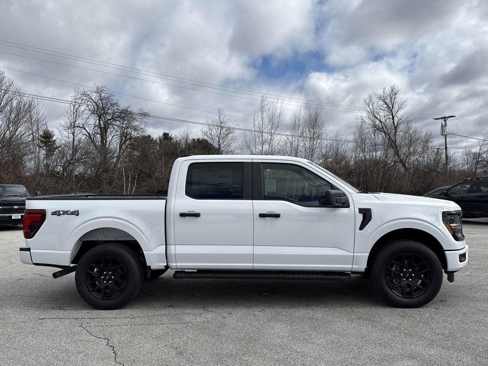 2025 Ford F-150 STX photo 3