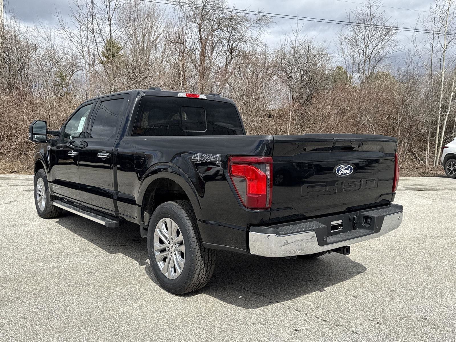 2025 Ford F-150 XLT - Photo 9