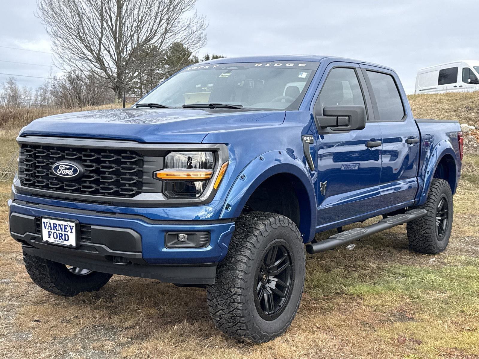 2025 Ford F-150 STX's photo
