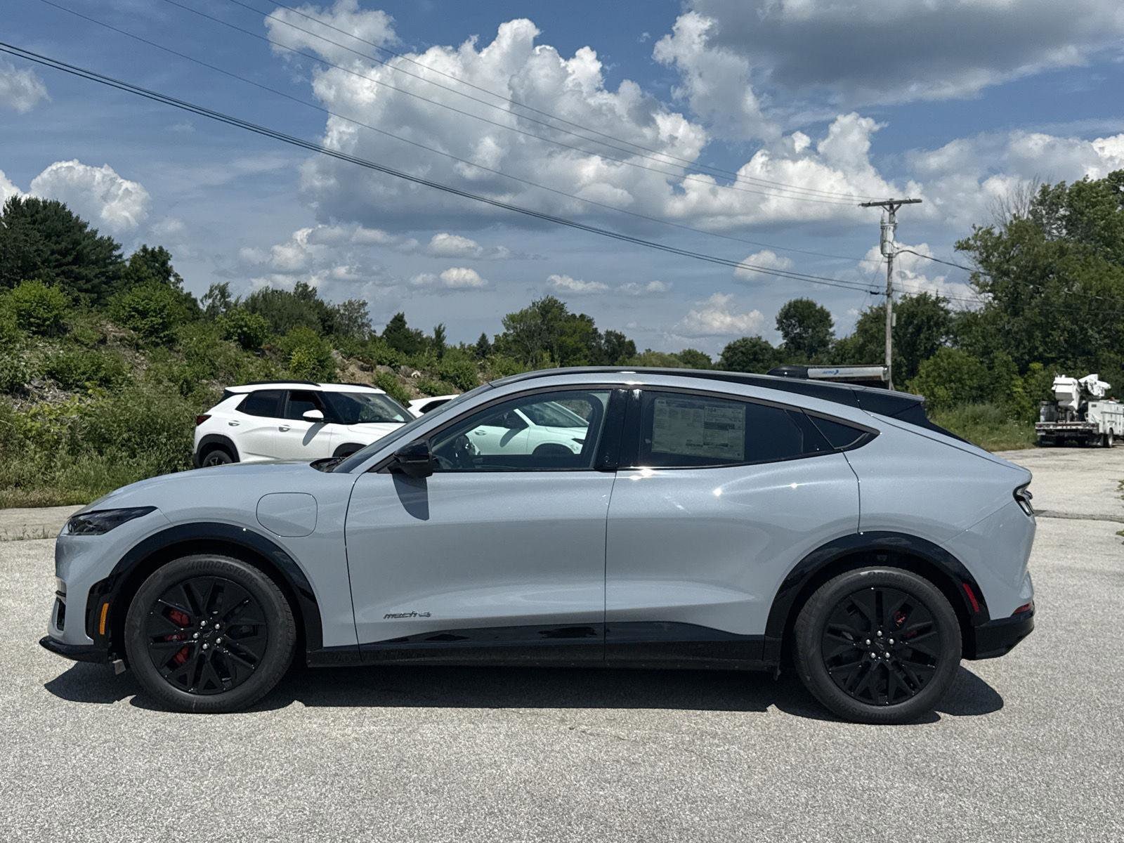 2025 Ford Mustang Mach-E Premium - Photo 8