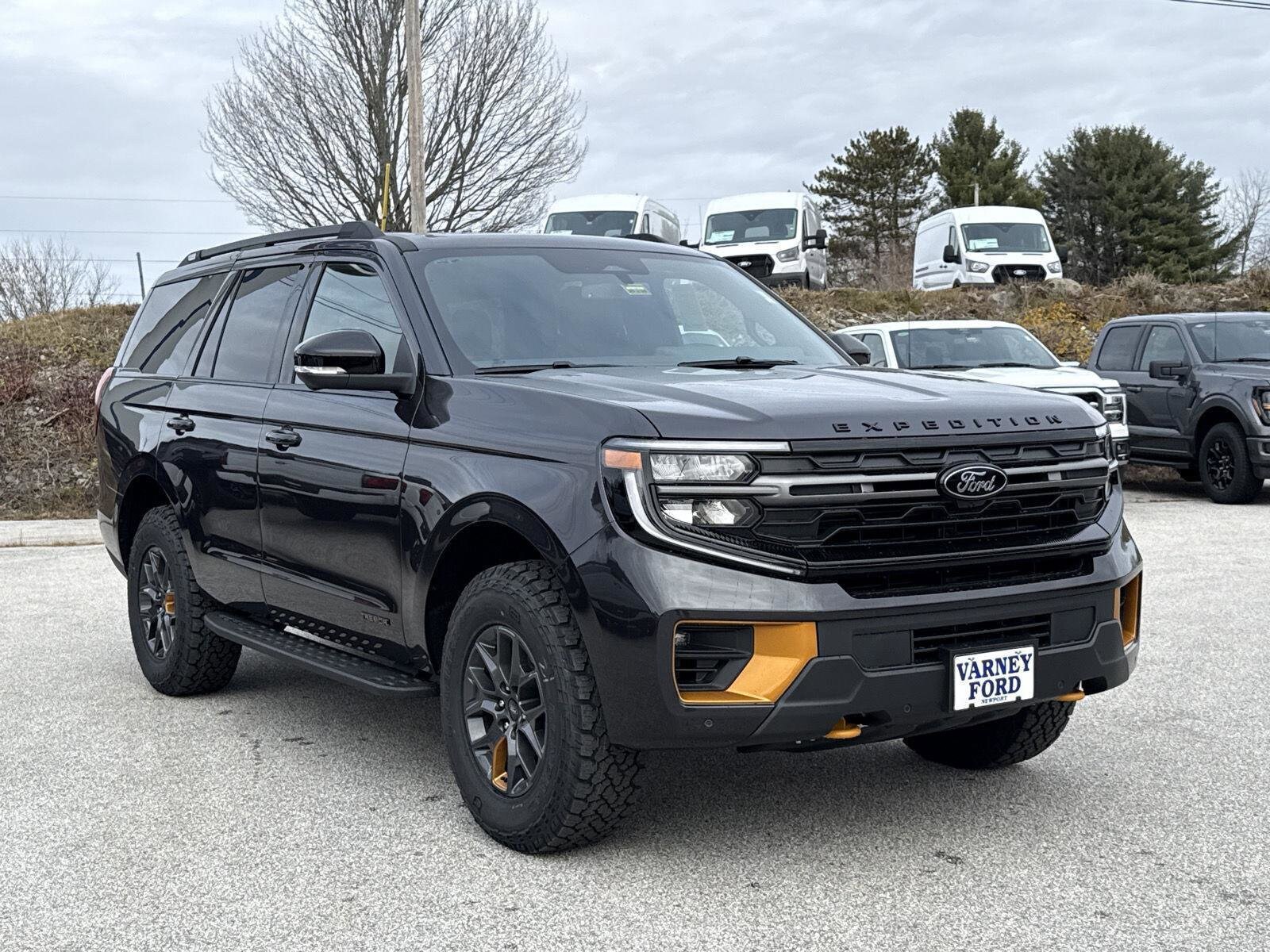 2025 Ford Expedition photo 3