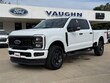 Ford Super Duty F-250 SRW