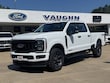 Ford Super Duty F-250 SRW