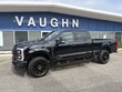  Ford Super Duty F-250 SRW