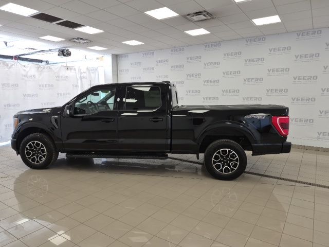 Used 2022 Ford F-150 XLT with VIN 1FTFW1E81NFC20698 for sale in Morris, Minnesota