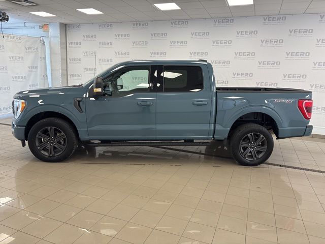 Used 2023 Ford F-150 XLT with VIN 1FTFW1E80PKD99620 for sale in Morris, Minnesota
