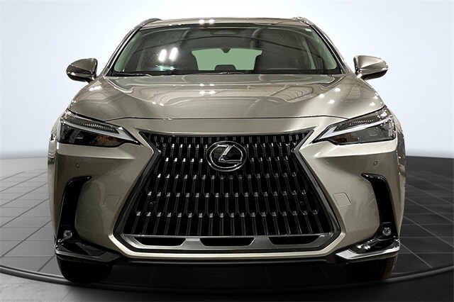 2024 Lexus NX 350 Premium photo 3