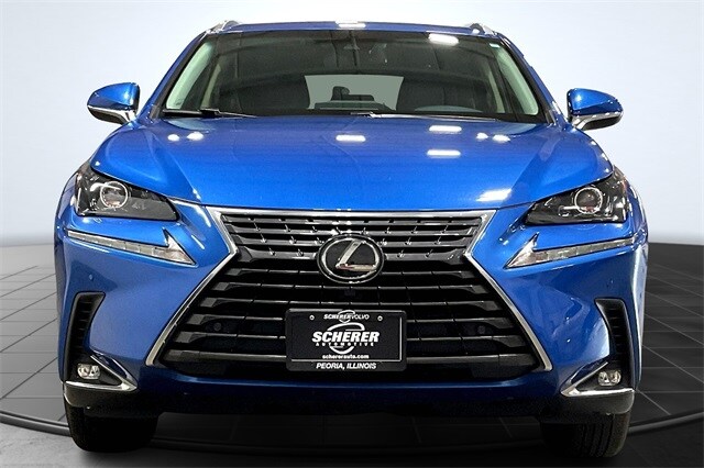 2019 Lexus NX 300 Luxury photo 3