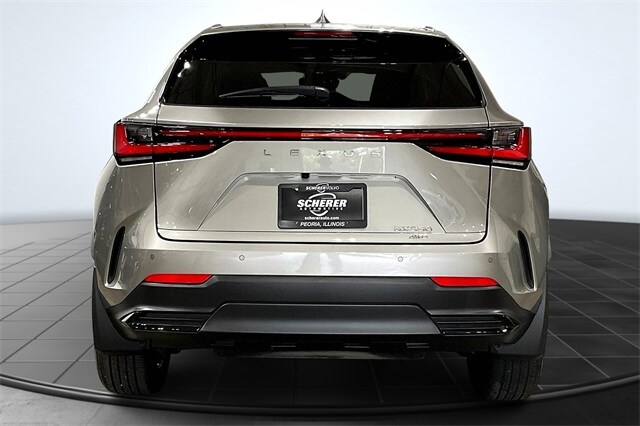 2024 Lexus NX 350 Premium photo 4