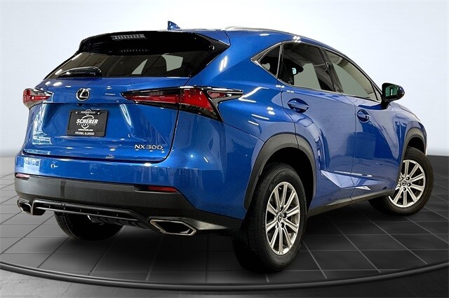 2019 Lexus NX 300 Luxury photo 2