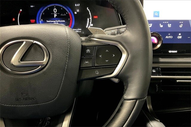 2024 Lexus RX 350 Luxury photo 2