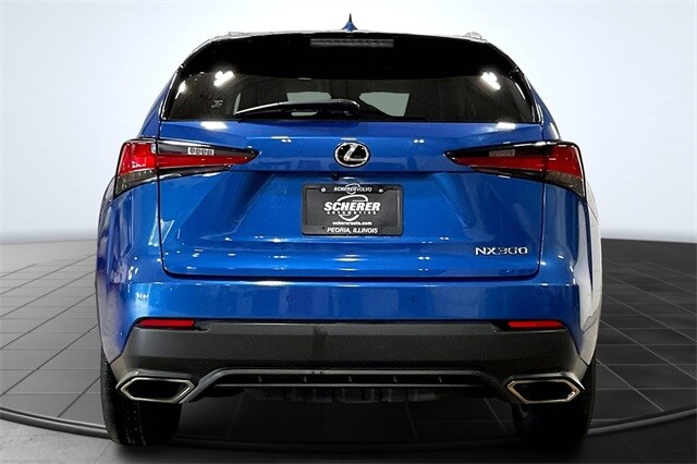 2019 Lexus NX 300 Luxury photo 4