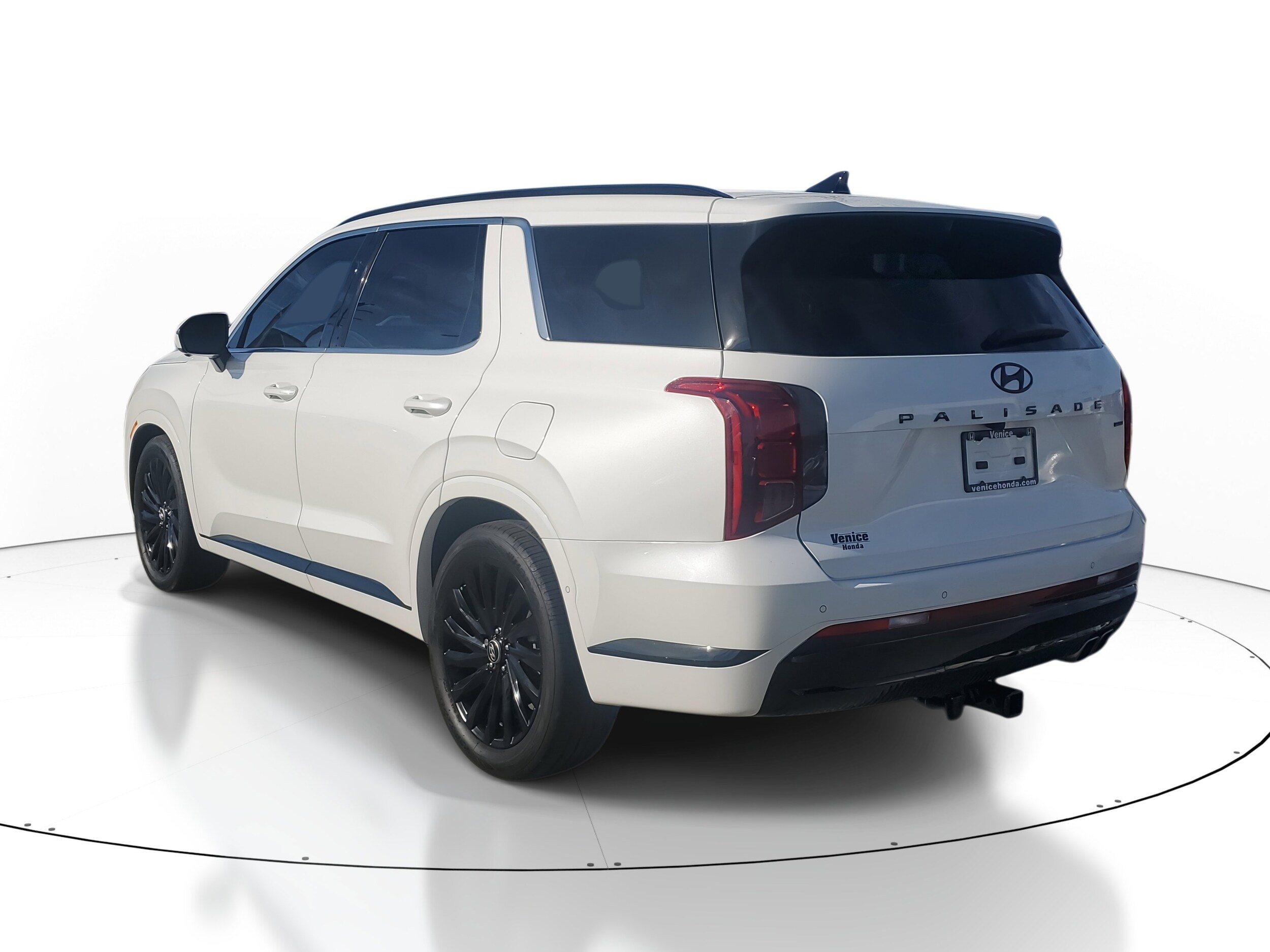 2025 Hyundai Palisade Calligraphy photo 3