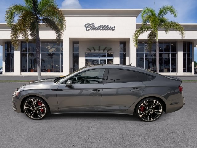2024 Audi S5 Sportback Premium Plus - Photo 8
