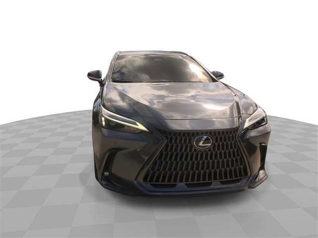 2025 Lexus NX 250 photo 4