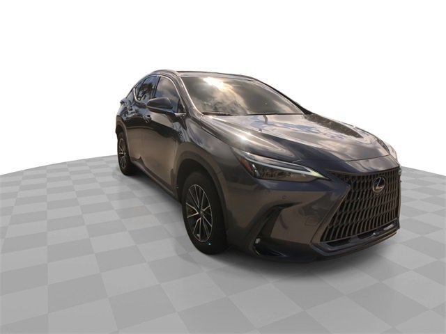 2025 Lexus NX 250 photo 3