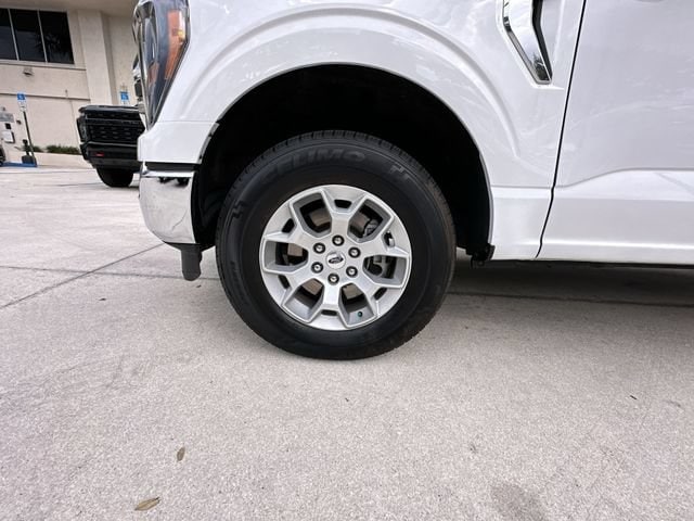 Photo 18