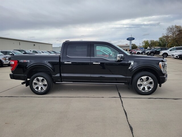 2022 Ford F-150 Platinum photo 2