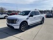  Ford F-150 Lightning
