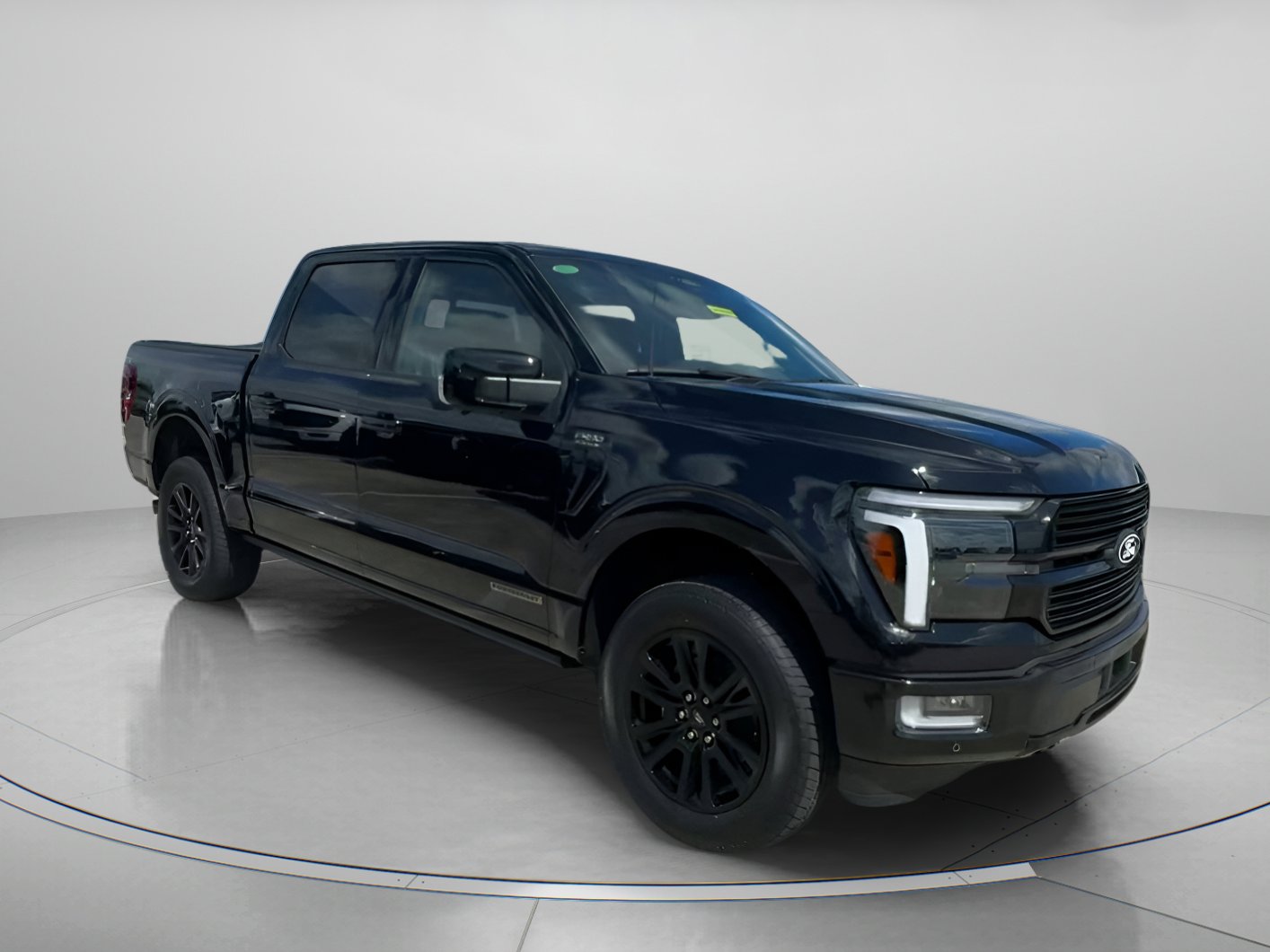 2025 Ford F-150 Platinum photo 2